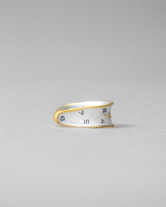 *The Persistence of Memory* ring