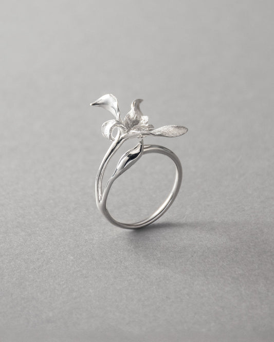Ran Ring