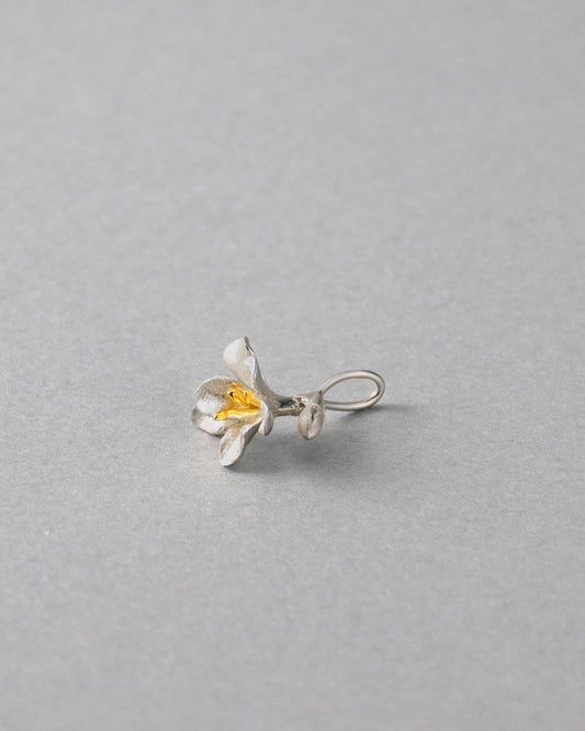 Freesia Charm