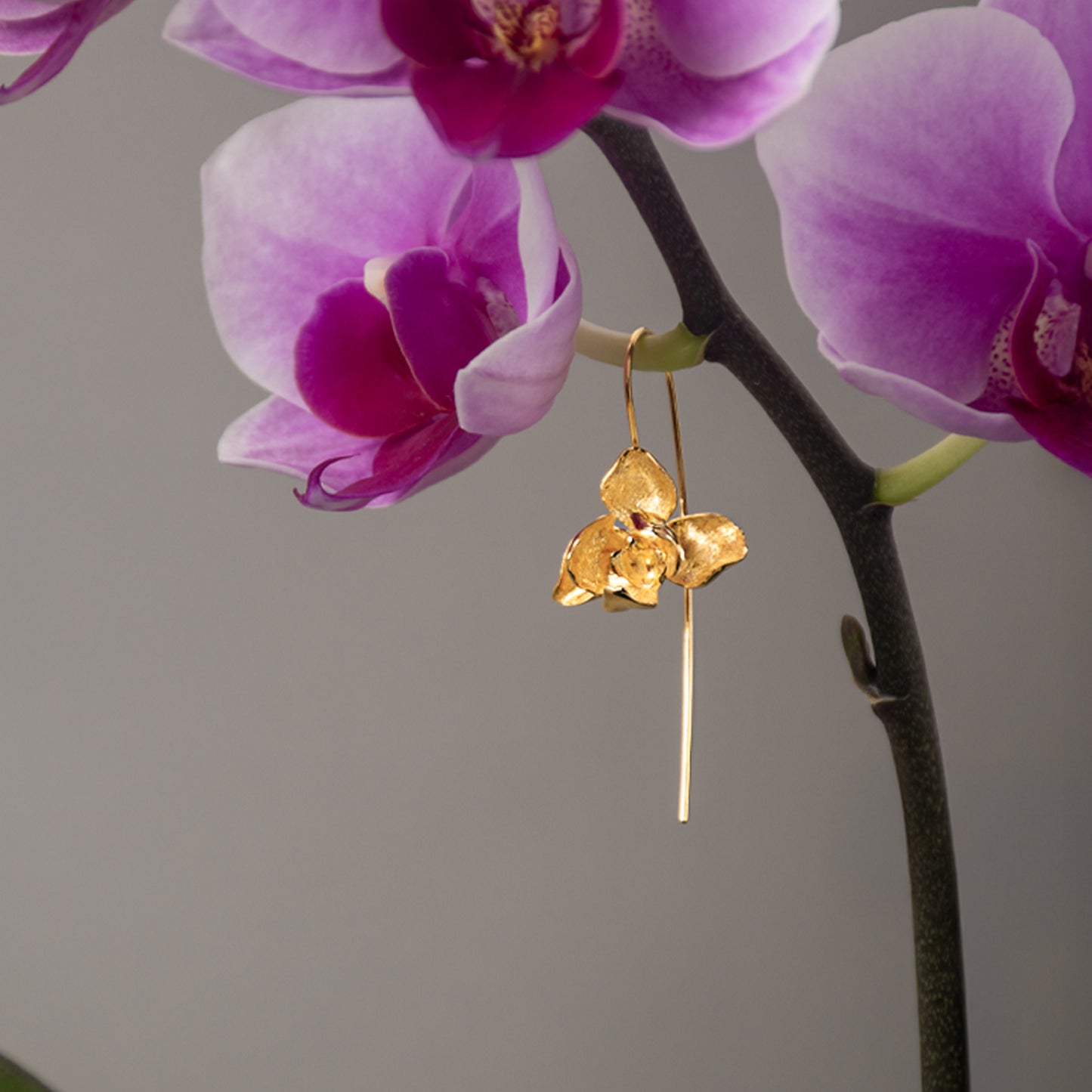 Phalaenopsis Hook Earrings